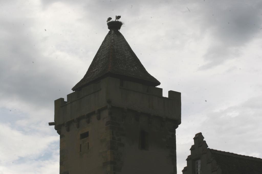 Gite Duplex Du Vignoble Alsace Rouffach Esterno foto