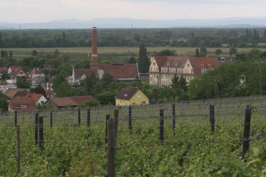 Gite Duplex Du Vignoble Alsace Rouffach Esterno foto